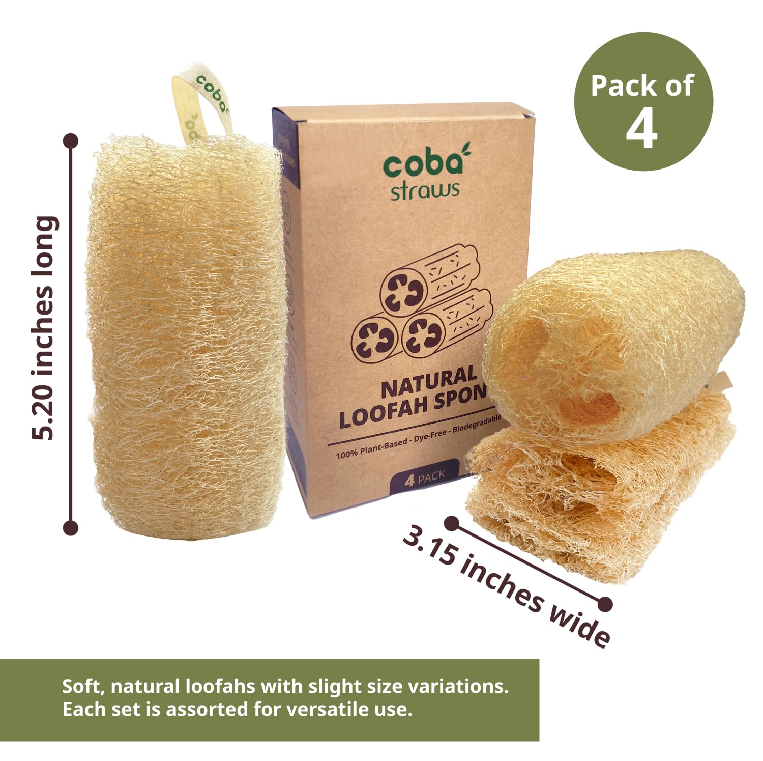 COBA STRAWS loofah biodégradable sans plastique, respectueuse de l'environnement.