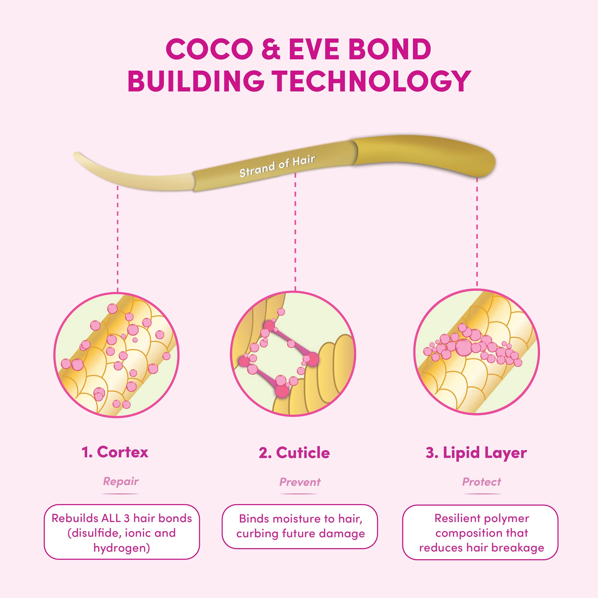 Coco & Eve Pré-Shampooing – massage des longueurs pour nourrir et réparer.