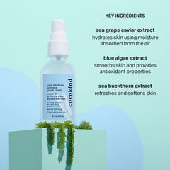 Cocokind Extrait d'algues bleues aidant au lissage de la peau.
