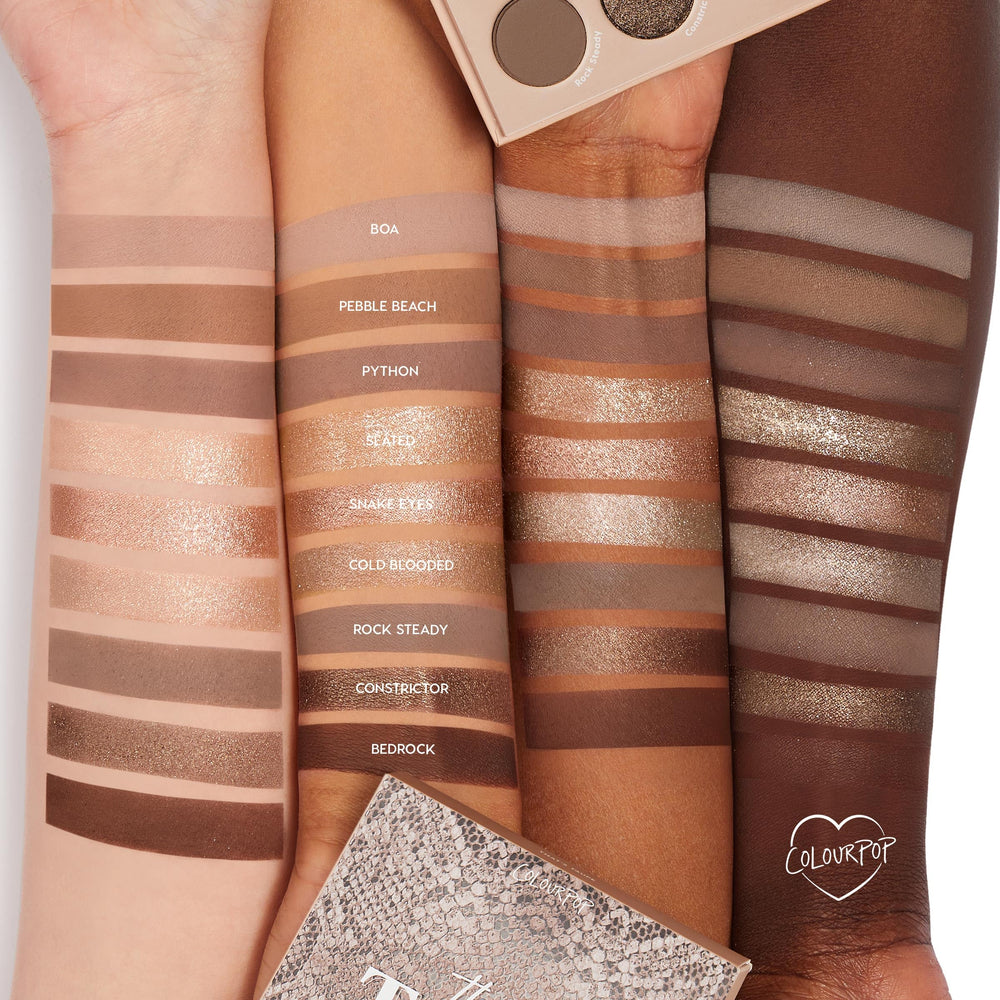 ColourPop Taupe – application précise avec pinceaux pour couleur durable.