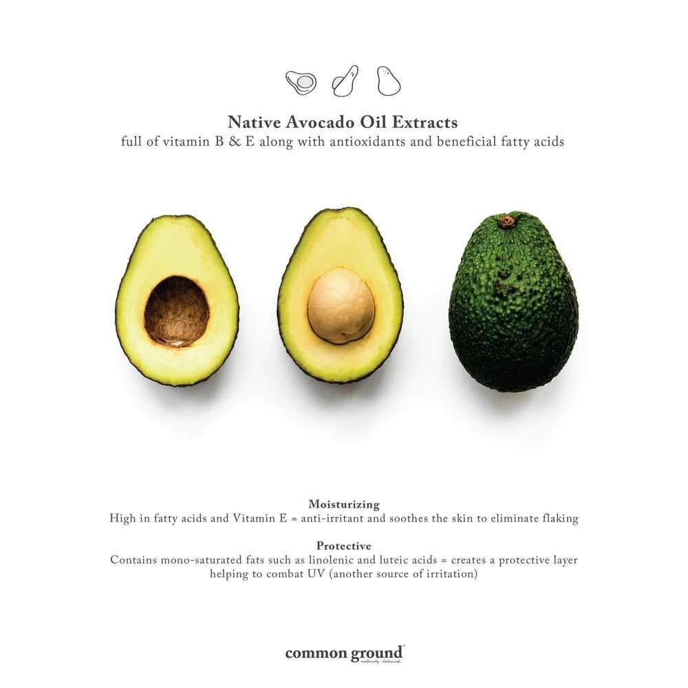 Extraits d’huile d’avocat du produit COMMON GROUND, hydratation et éclat naturel