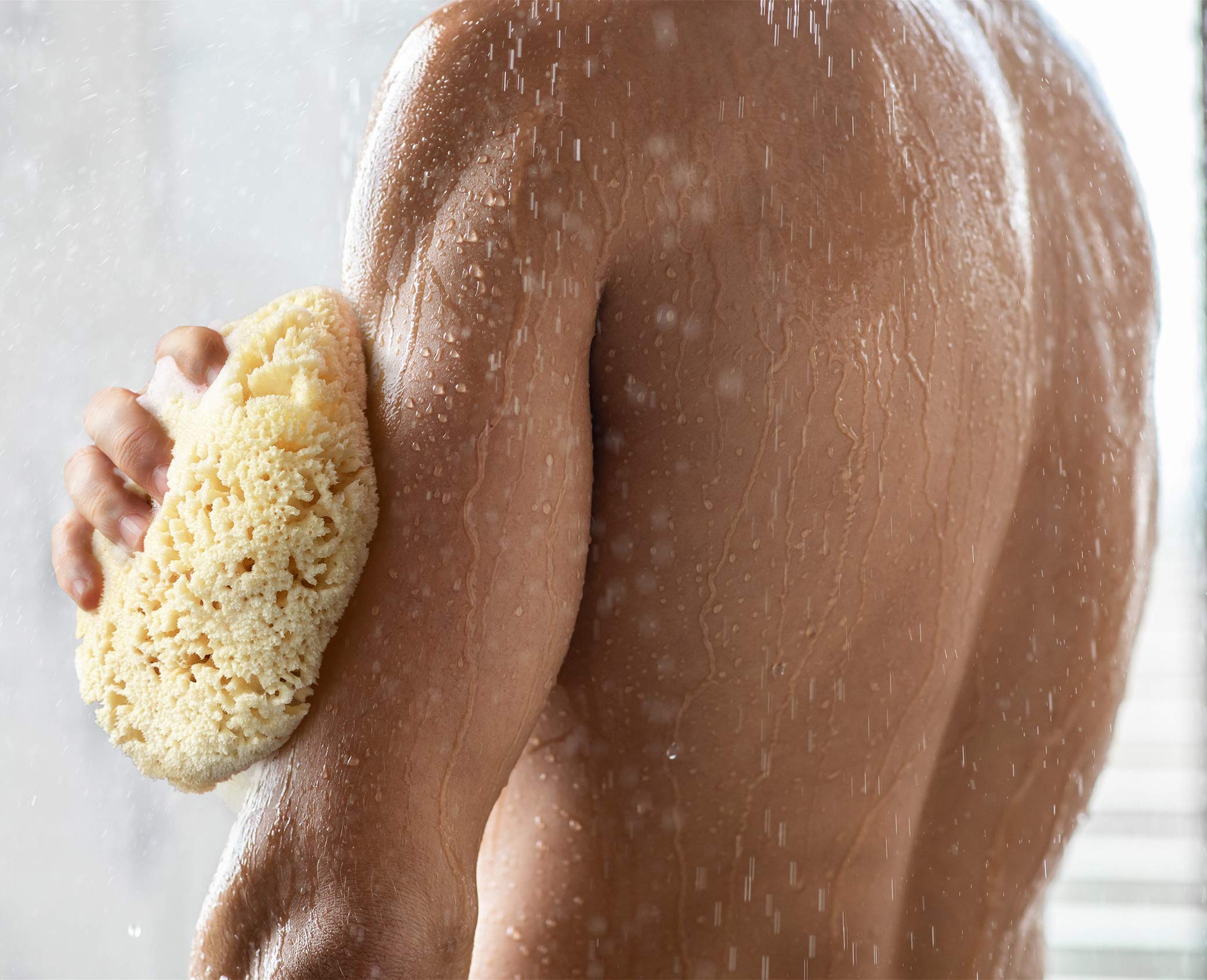 Suggestion cadeau Constantia Beauty éponge mer pour homme