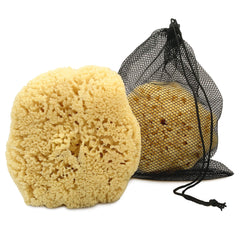 Éponge mer Constantia Beauty pour homme extralarge 6-7 pouces offrant prise en main confortable et exfoliation douce