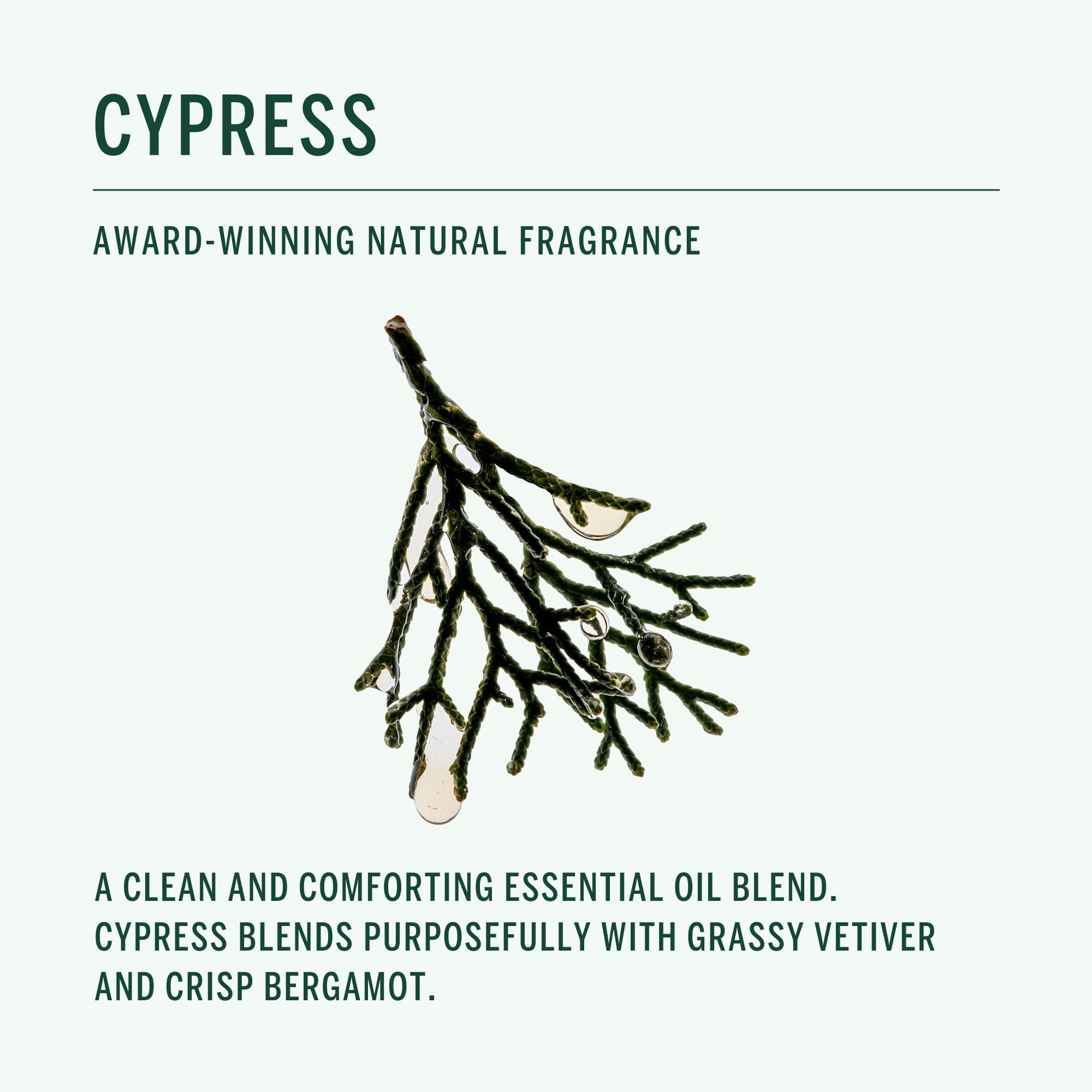 Corpus Cypress ingrédients clés comme baobab et olive pour nourrir sans surcharge.