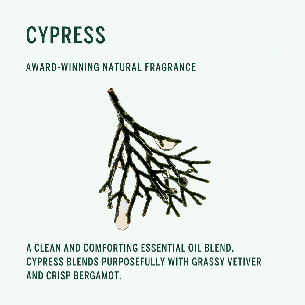 Corpus Cypress ingrédients clés comme baobab et olive pour nourrir sans surcharge.