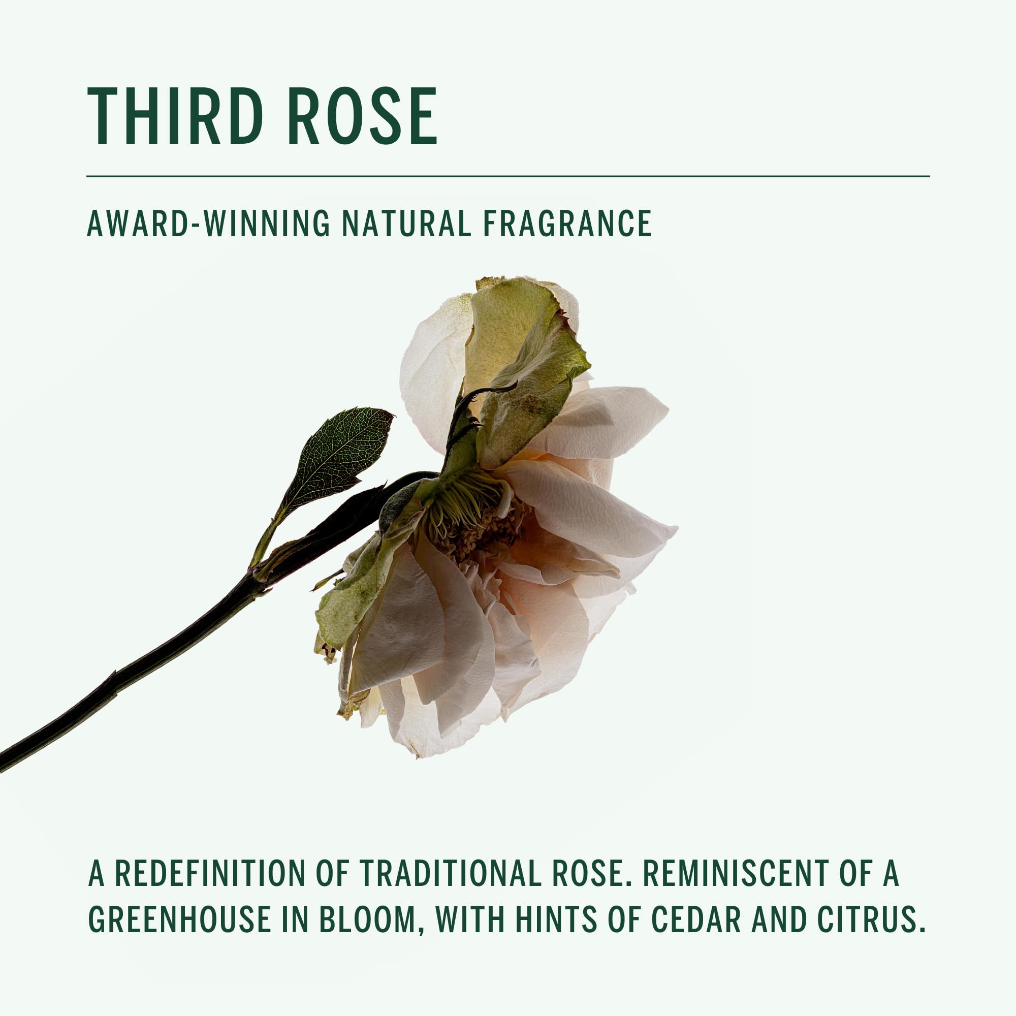 CORPUS Déodorant Stick Senteur Rose Citruse offre une fragrance légère et naturelle.