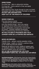 Cover Your Gray brosse-in-bâton noir, format pratique pour sac à main.