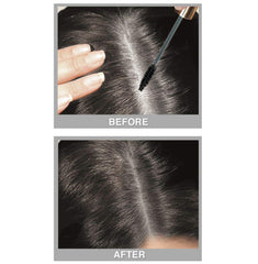 Cover Your Gray brosse-in-bâton noir retouche discrète des racines.