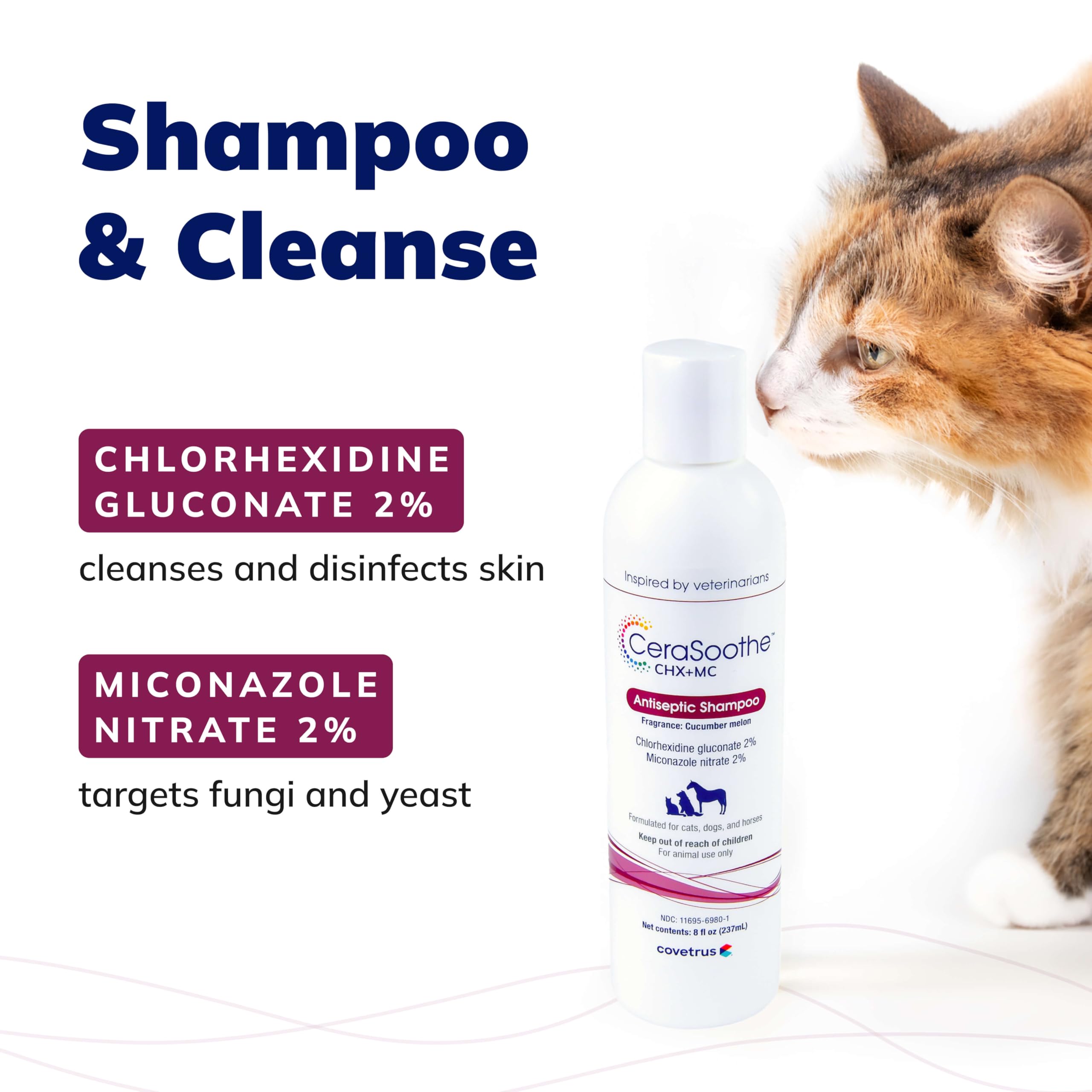 Covetrus CeraSoothe CHX+MC—chat, pelage sain et apaisé après le shampooing