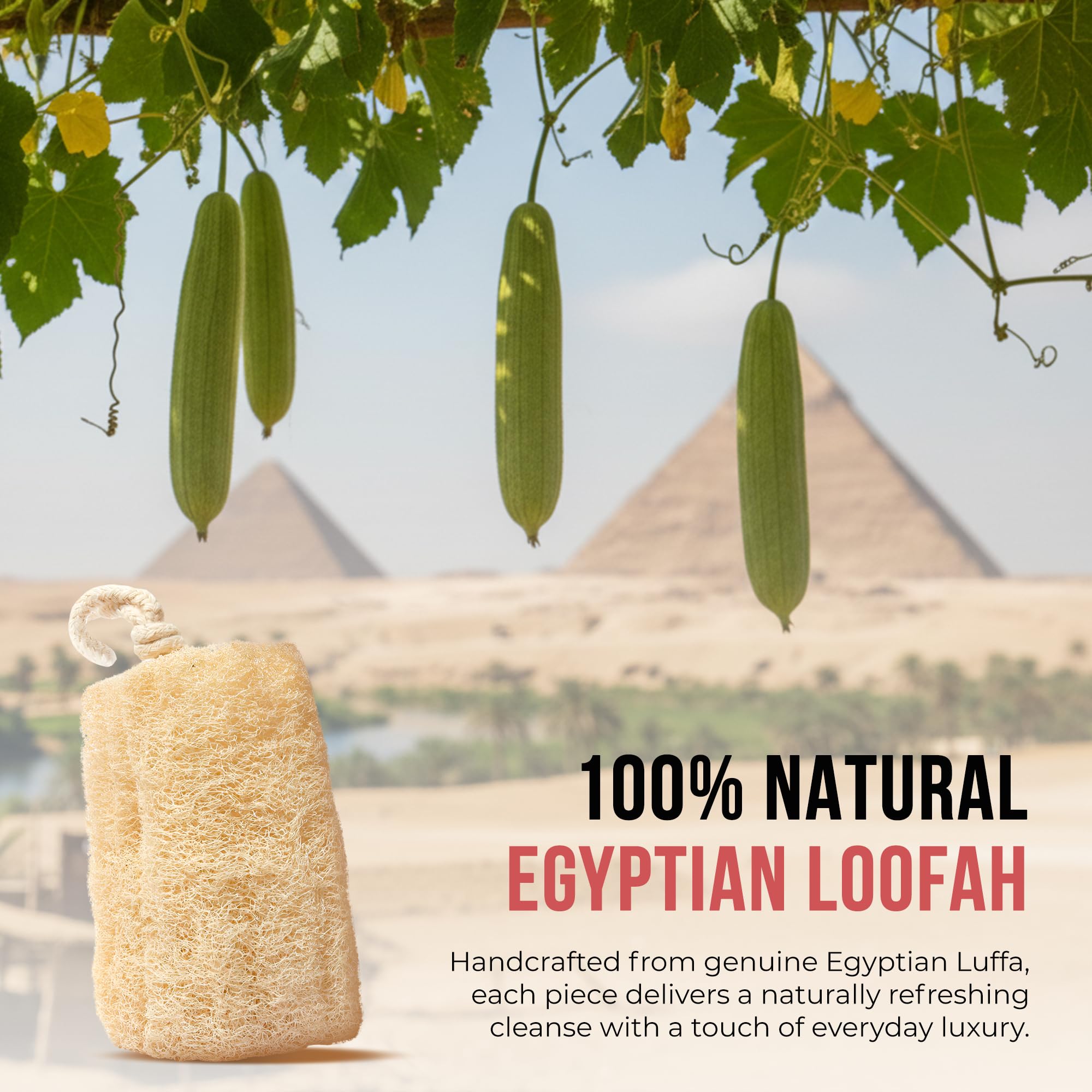 CraftsOfEgypt cadeau bien-être: pack loofah naturel