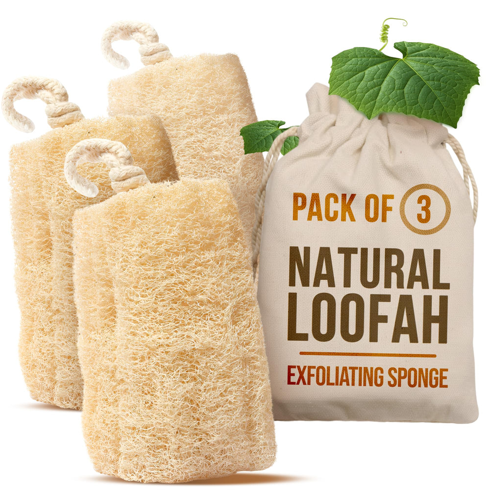 Éponge luffa CraftsOfEgypt – pack de 3 pour visage et corps, exfoliation naturelle en douceur