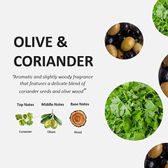 Cucina recharge savon mains, senteur aromatique coriandre et olivier, usage quotidien