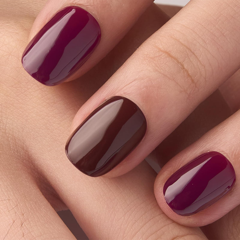 Curvlife boîte accessoires ongles, kit complet inclus
