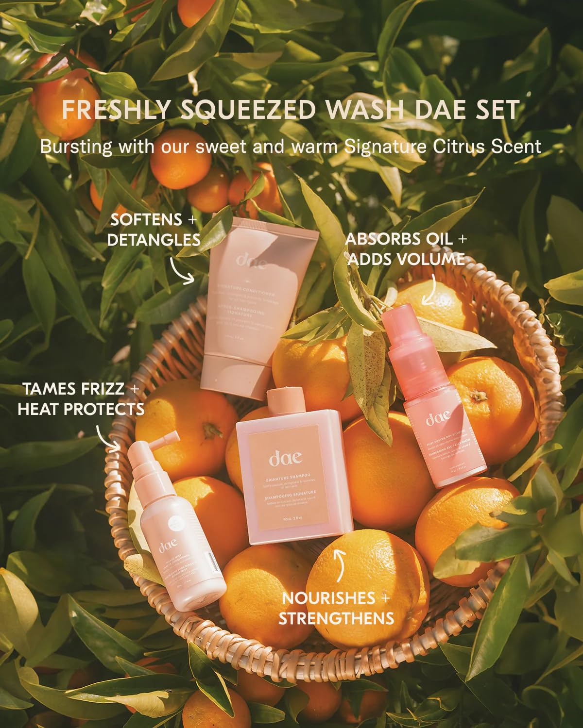 DAE Ensemble Lavage Frais Presse – face arrière avec informations produit claires.