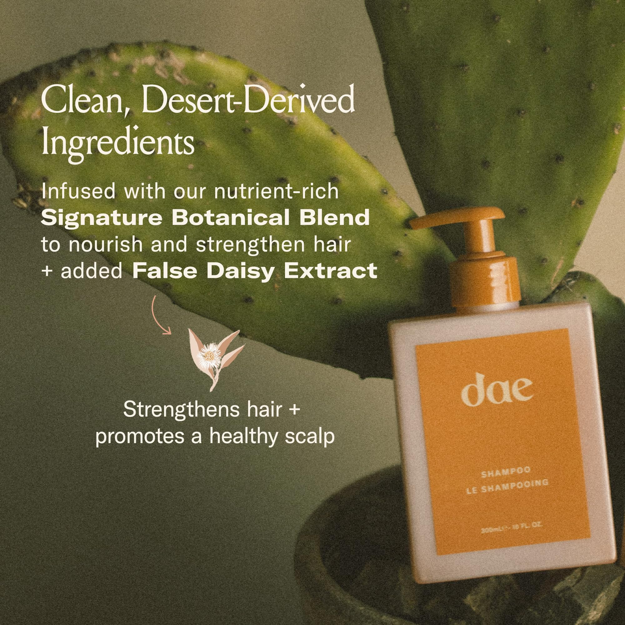 DAE Signature Shampoo, formulation sans sulfates pour une douceur naturelle.