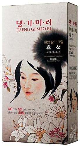 Daeng Gi Meo Ri – coloration noir, pinceau inclus pour une répartition homogène.