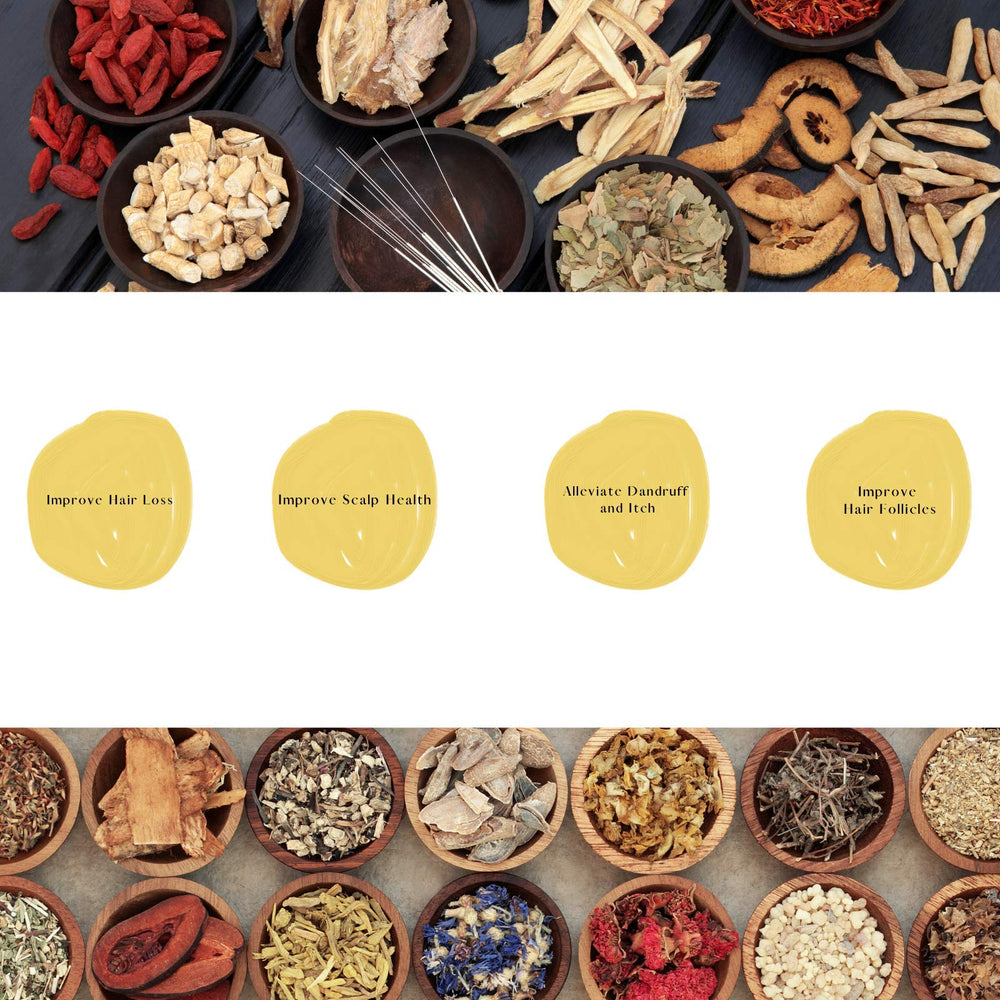 Daeng Gi Meo Ri Ki Gold Premium Treatment – ingrédients à base de plantes médicinales pour nourrir cheveux