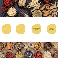 Daeng Gi Meo Ri Ki Gold Premium Treatment – ingrédients à base de plantes médicinales pour nourrir cheveux