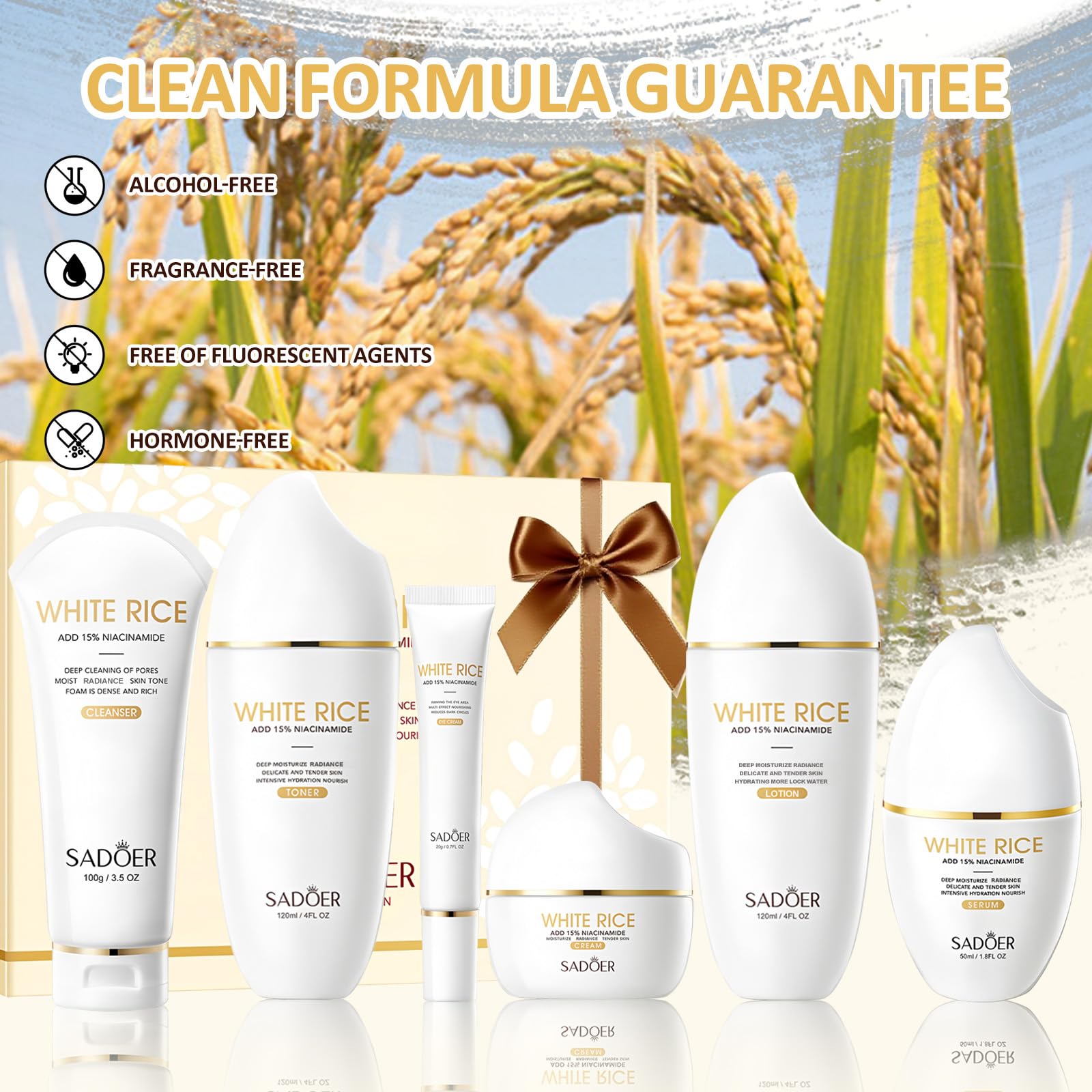 DailyBrio coffret soin riz niacinamide emballage élégant prêt à offrir.