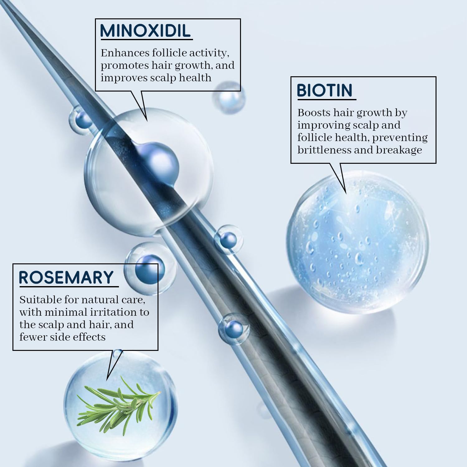 Extrait de romarin inclus dans Danliss Minoxidil pour le soin capillaire.