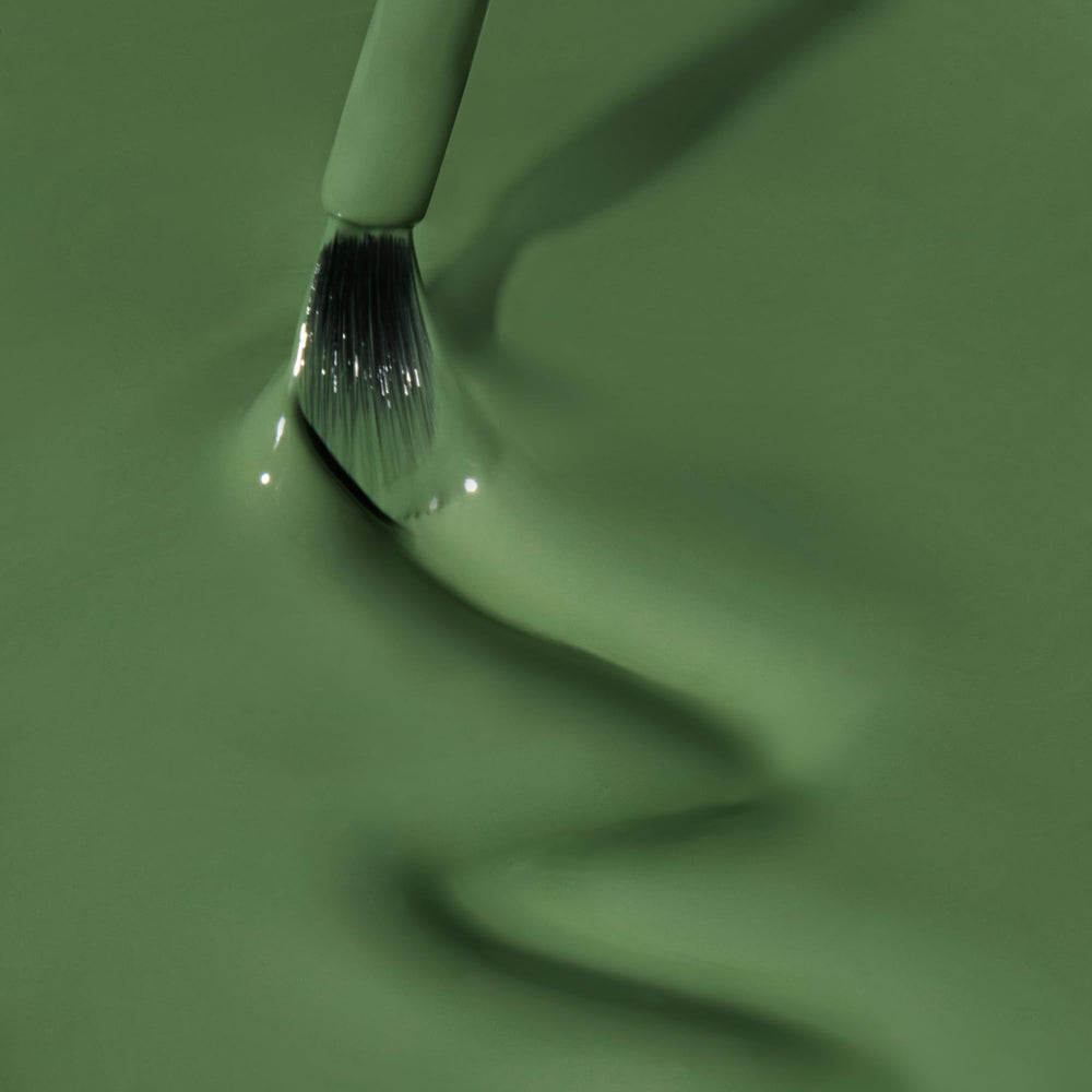 Échantillon Dazzle Dry vert fougère pour visualiser le rendu.