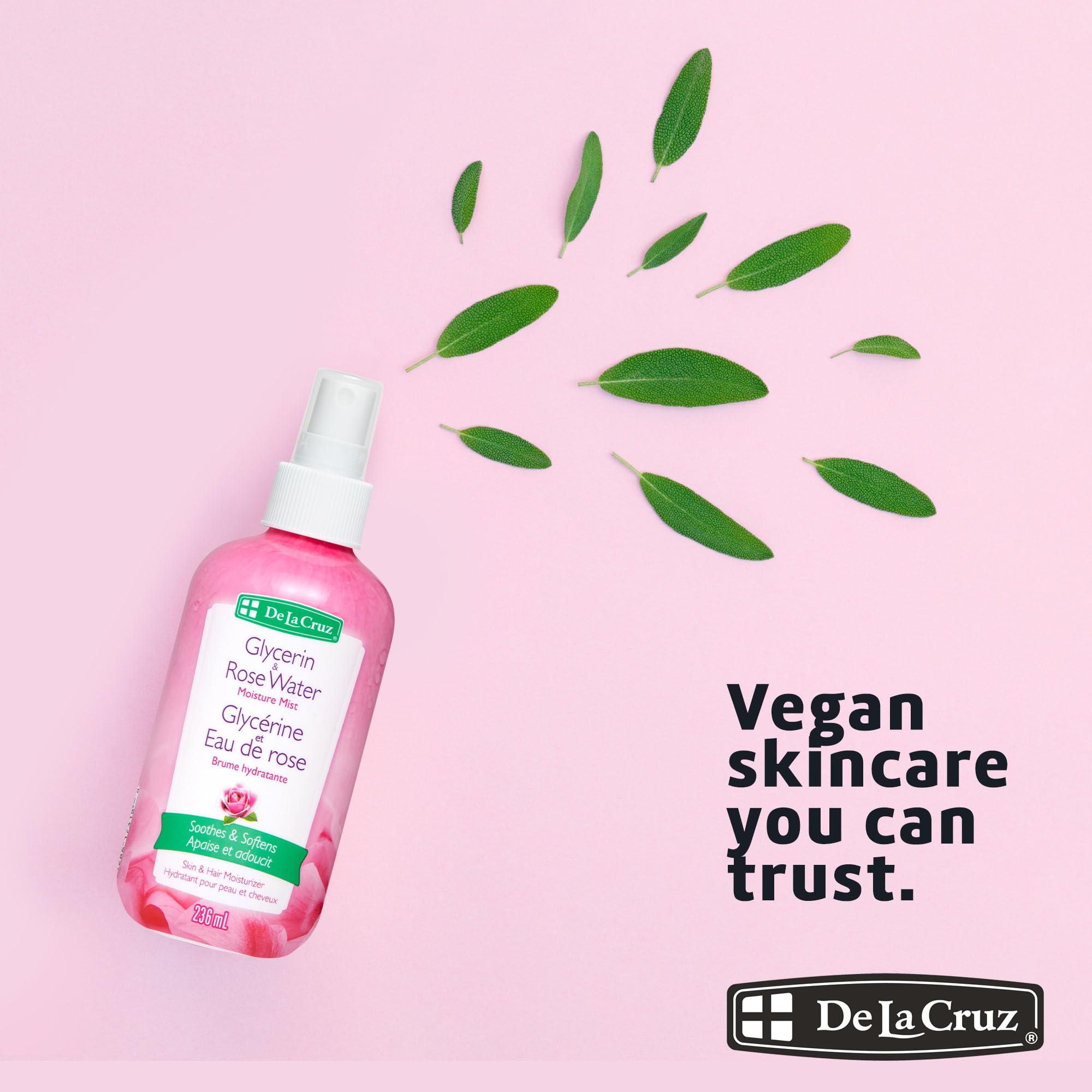 Fragrance naturelle de rose De La Cruz : douceur et bien-être potentiel.