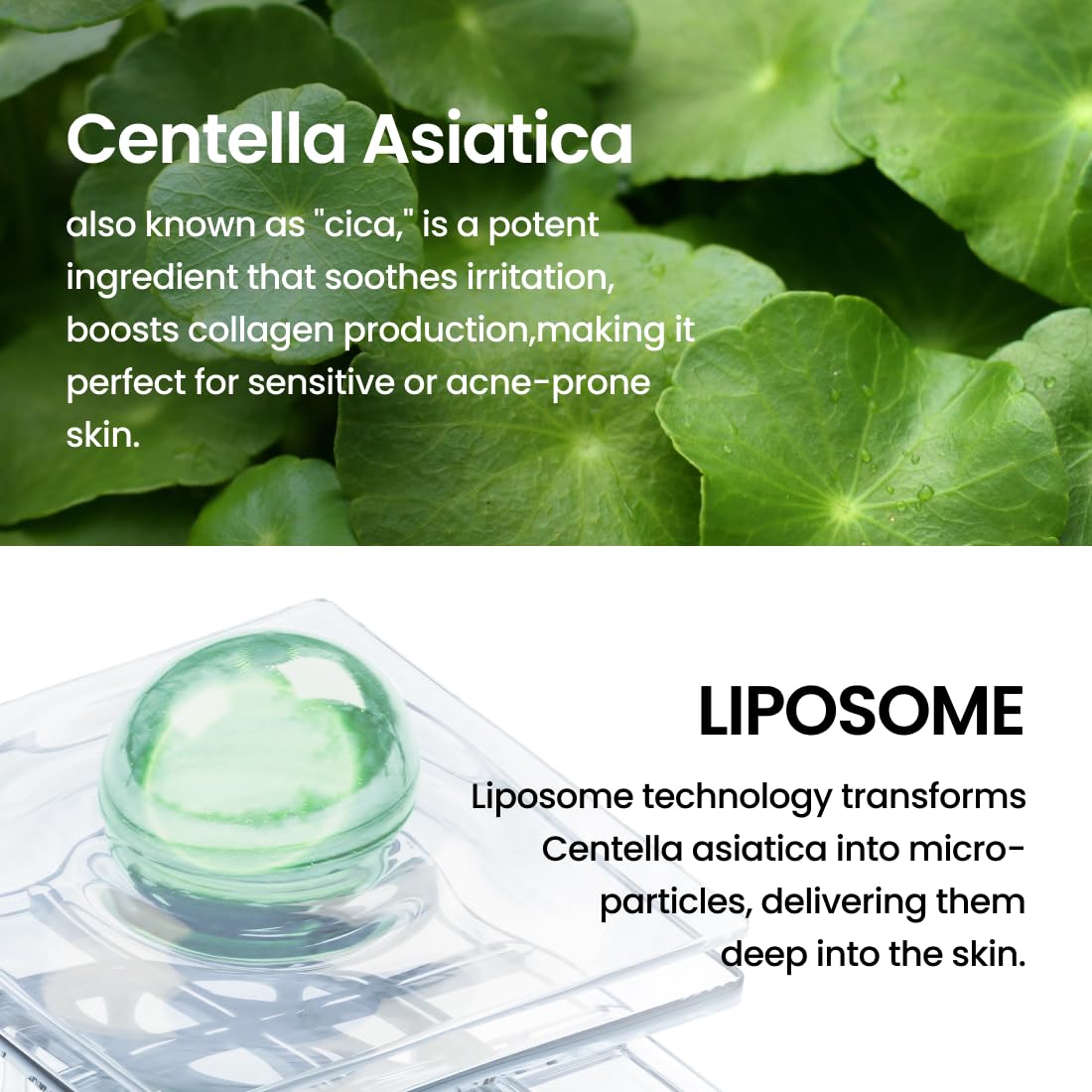 Formulé avec Centella Asiatica TECA pour apaiser les peaux sensibles.