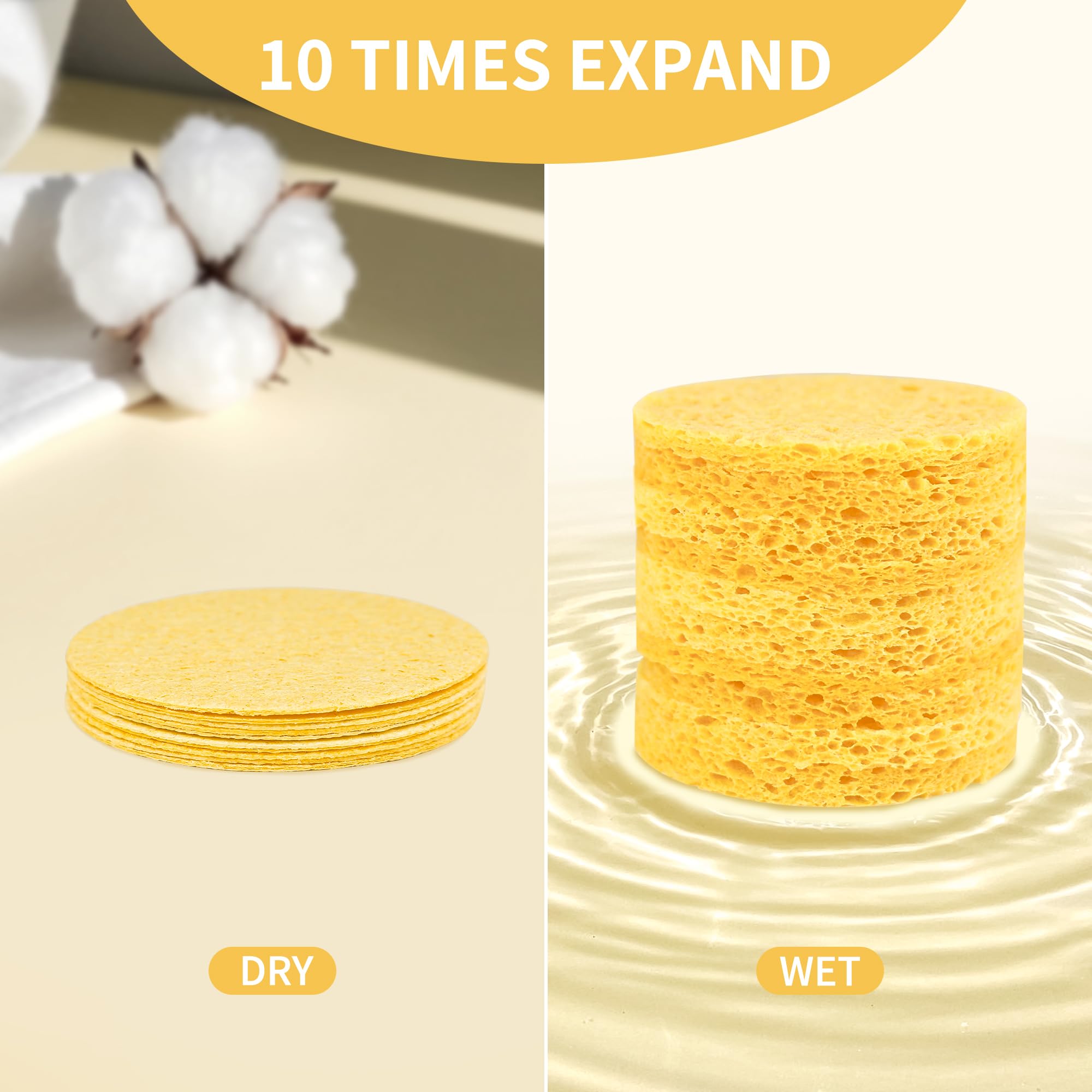 Derloyo sponges expand in water to reveal a soft texture for gentle cleansing.