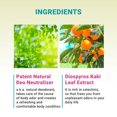 Derma B extrait feuille Diospyros kaki neutralise les odeurs naturellement
