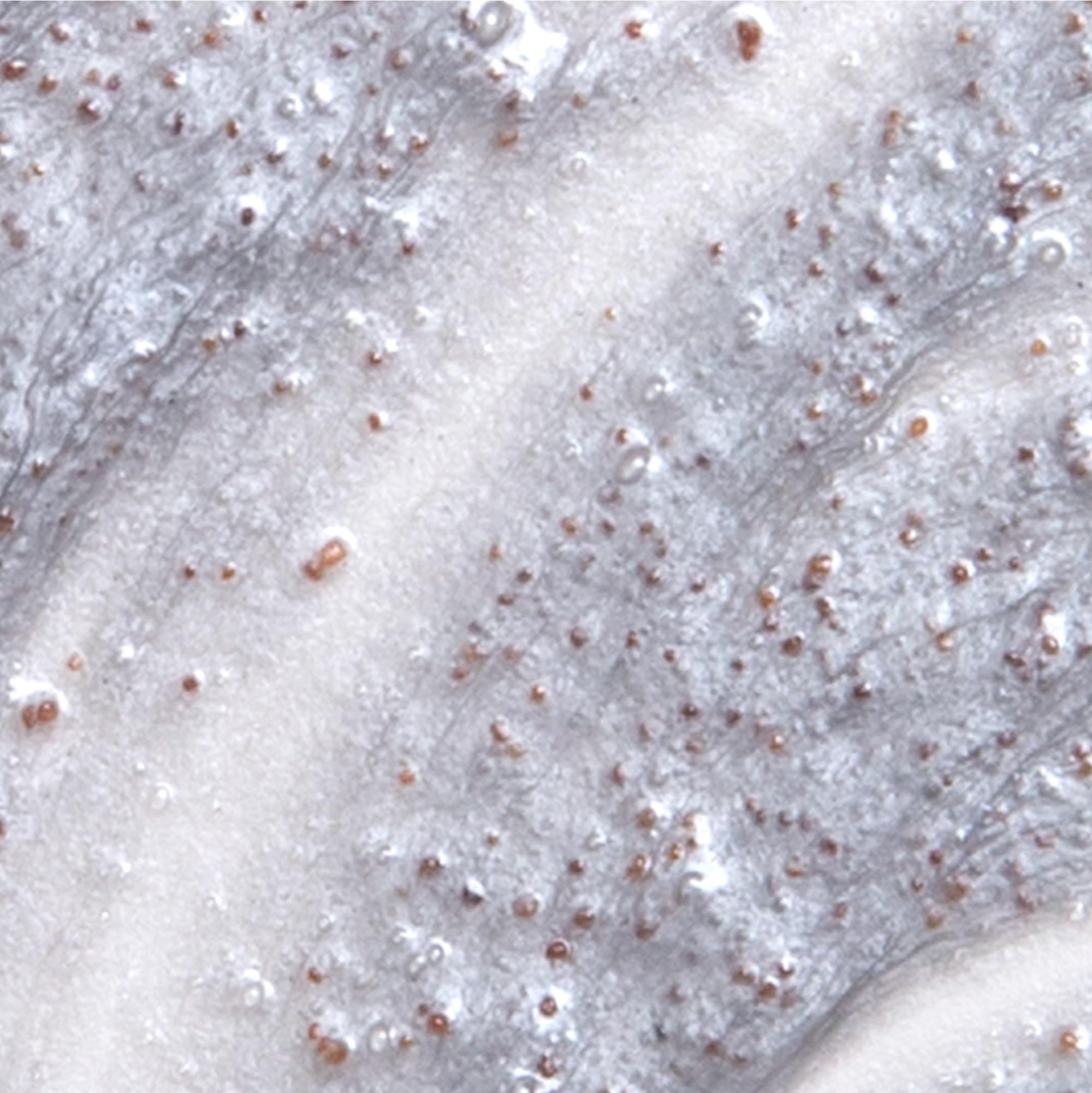 DERMA E gommage purifiant quotidien algue wakame hydrate et protège la peau