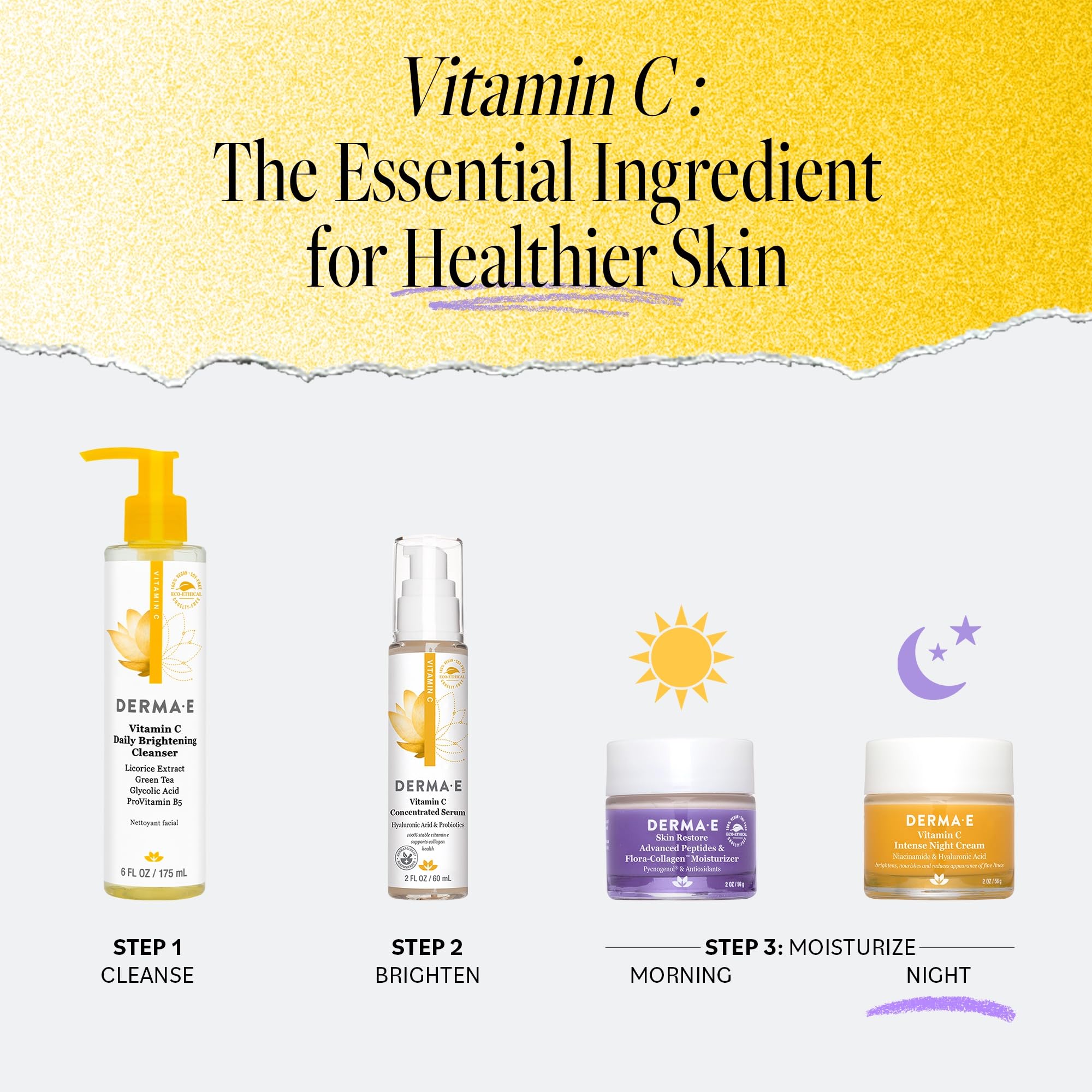 Probiotiques et rooibos dans la crème DERMA E pour protection cutanée