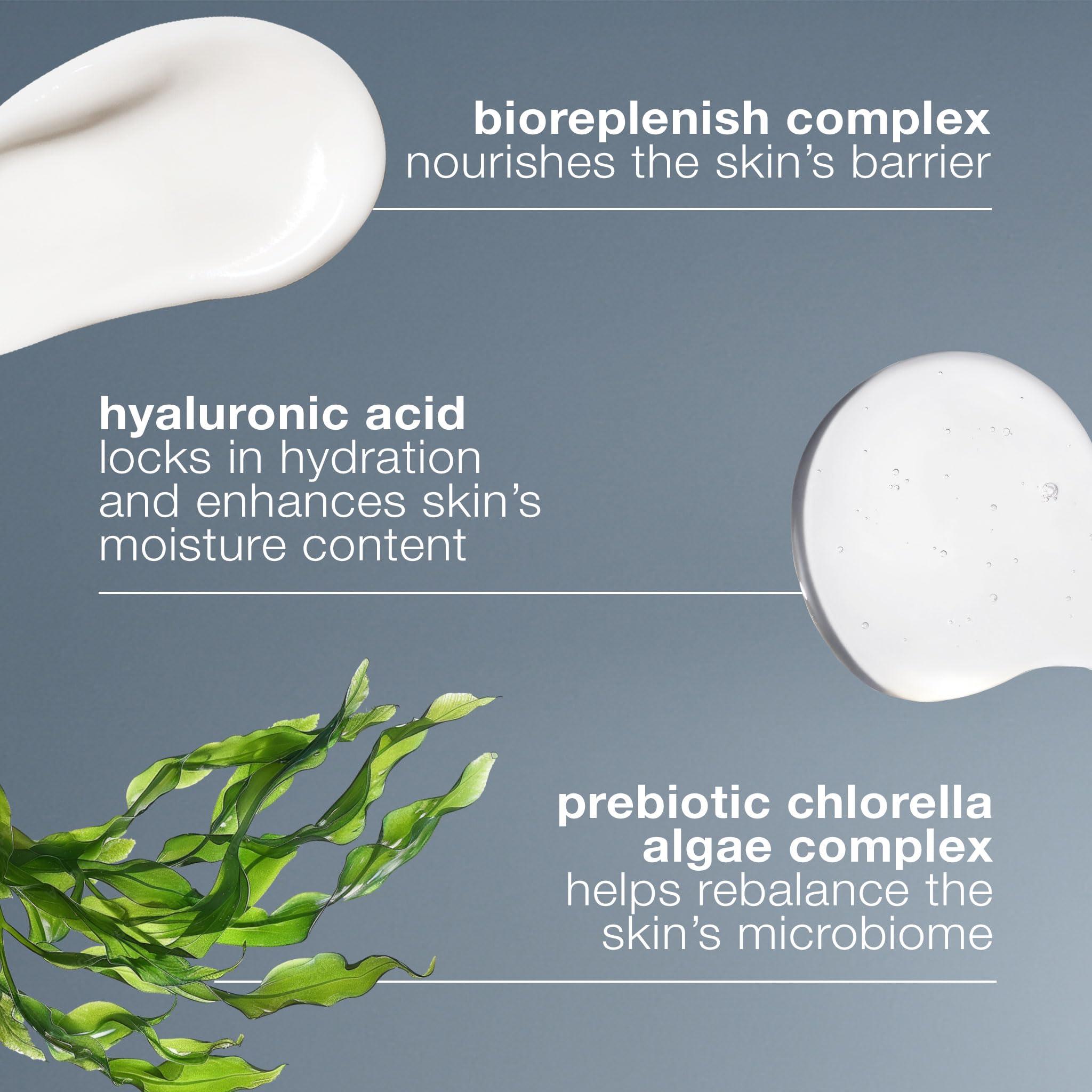 Dermalogica Intensive Moisture Balance – BioReplenish Complex pour renforcer la barrière.