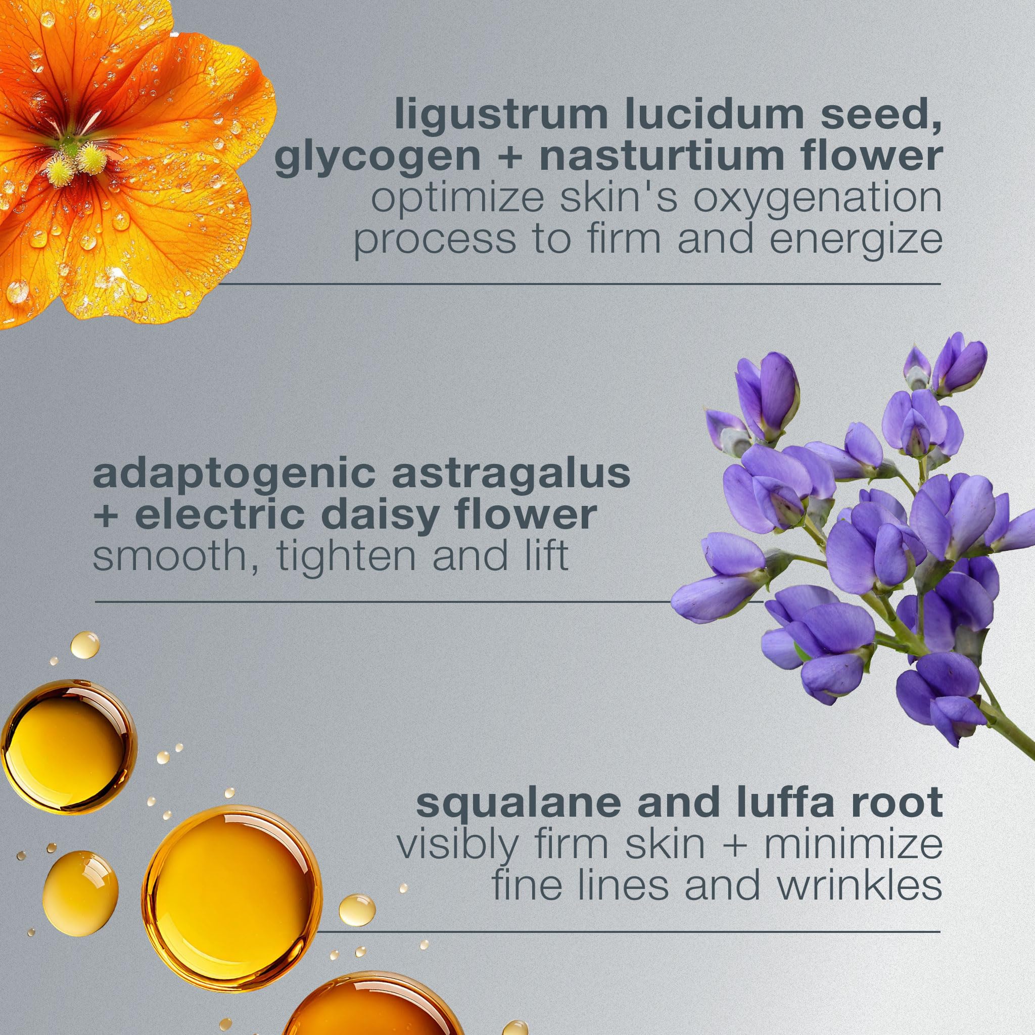 Dermalogica Crème Phyto Nature Oxygénée, massage visage favorise fermeté et hydratation douce.