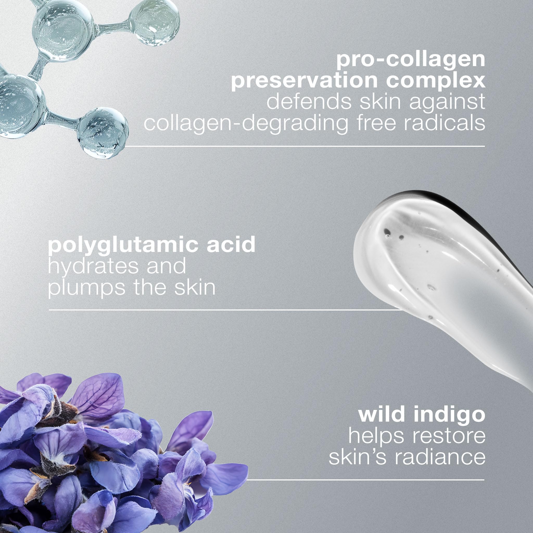 Dermalogica Pro-Collagène Sérum — ingrédients clés pour soutenir le collagène.