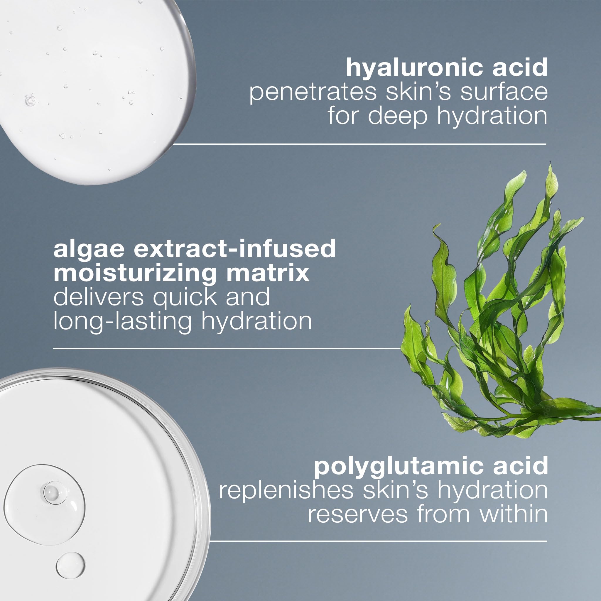 Utilisation quotidienne Dermalogica — routine simple et efficace.