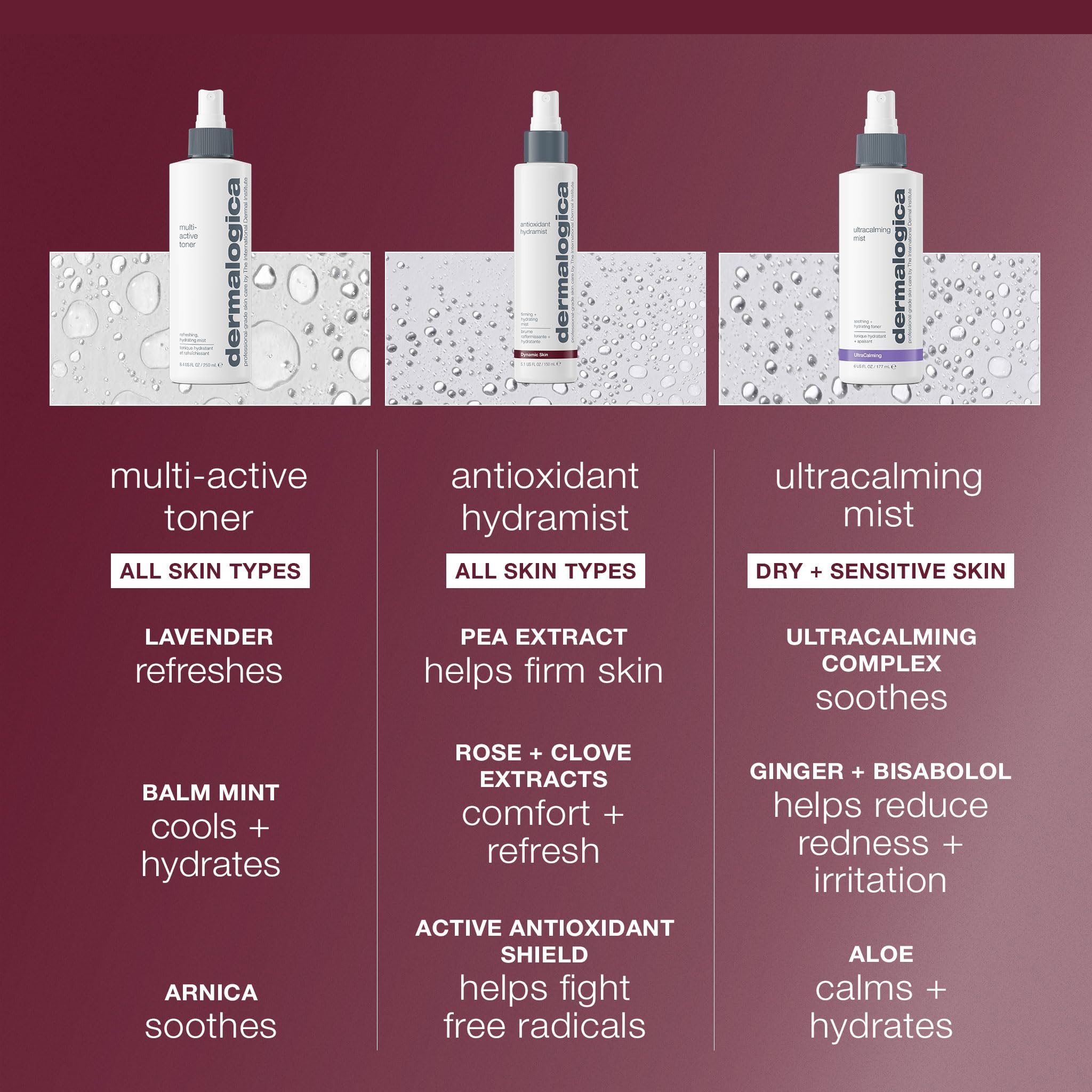 Dermalogica Tonique Hydramist Antioxydant – spray visage quotidien, application rapide et pratique.