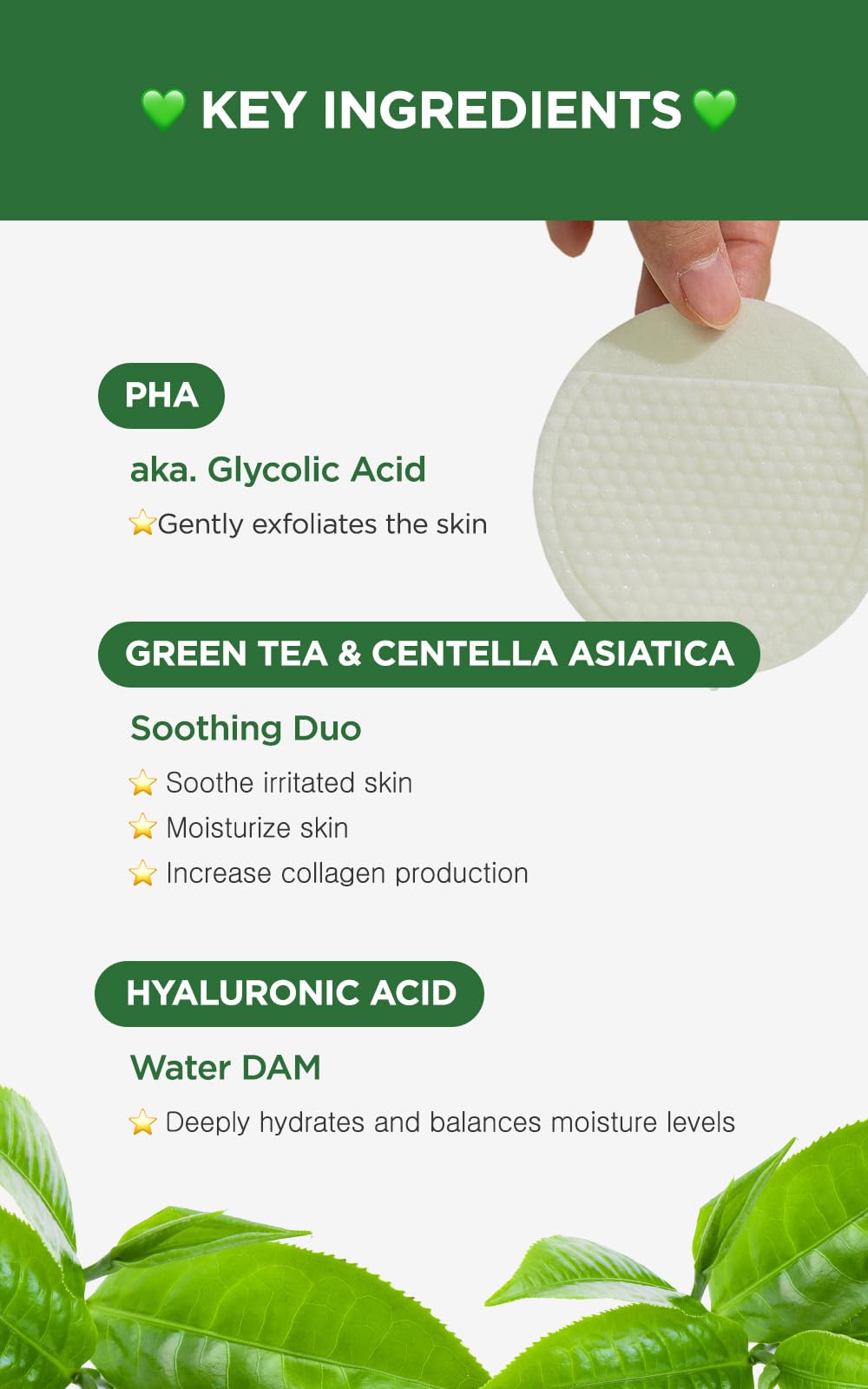 Feuilles de thé vert dans DERMALOGY Bio-Peel Gauze Pads pour un effet rafraîchissant