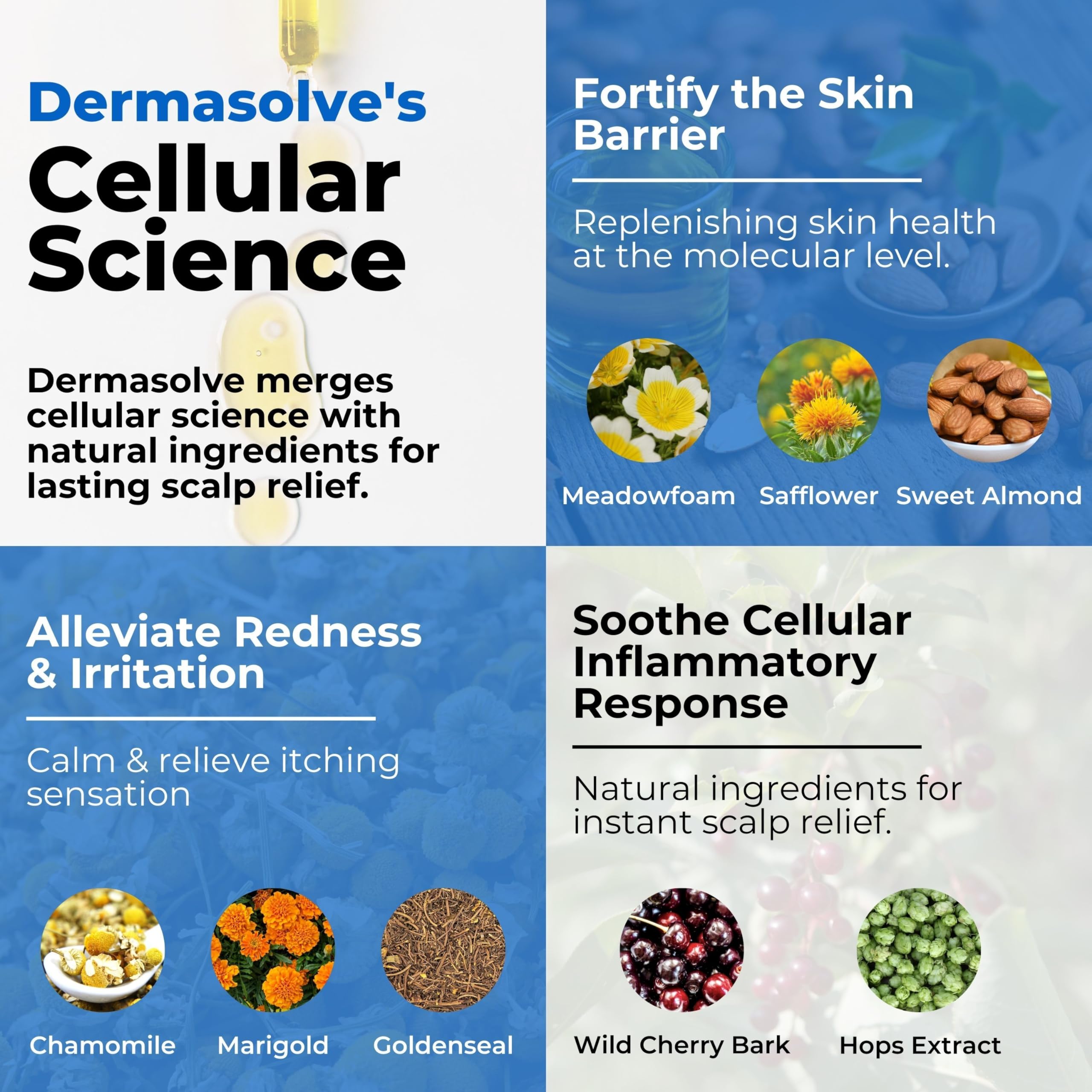 Dermasolve huile meadowfoam nourrissante pour cheveux et cuir chevelu.