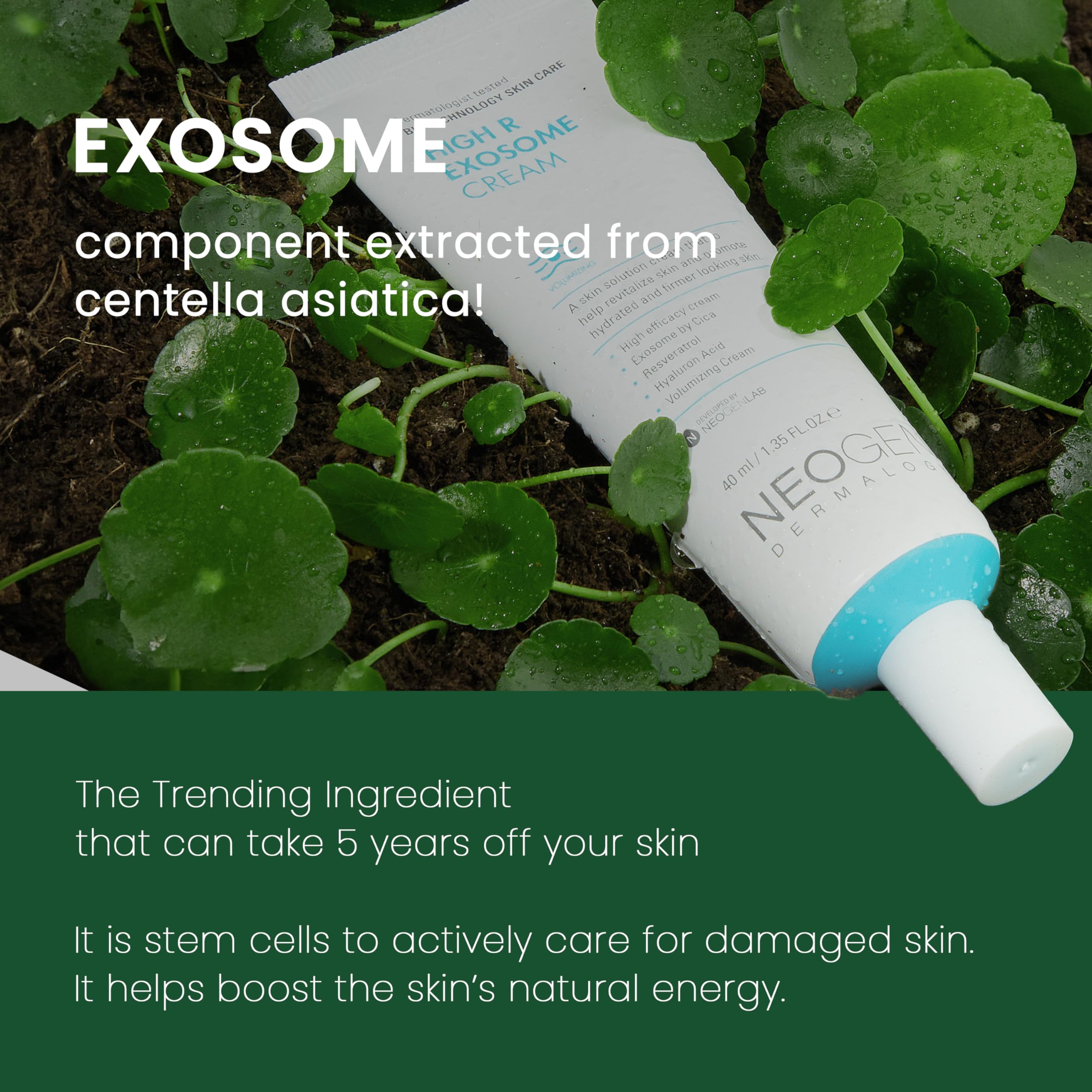 NEOGENLAB DERMALOGY Exosome Crème – résveratrol antioxydant pour un éclat naturel.