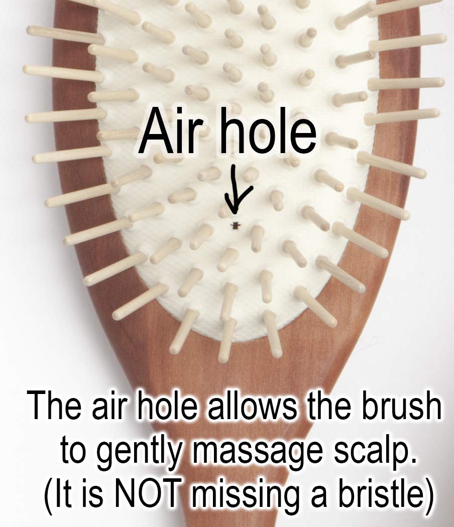 Desert Breeze brosse-anti-statique, réduction des frisottis pour cheveux.