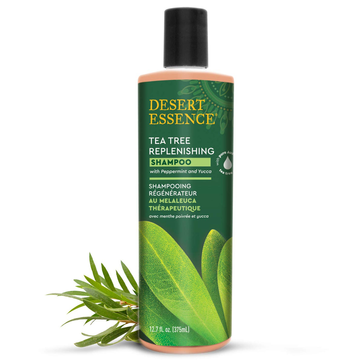 Desert Essence Shampoing Arbre à Thé – bouteille 375 ml prête pour usage quotidien.