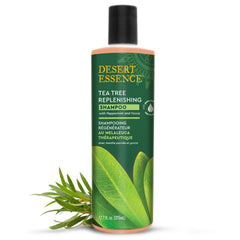 Desert Essence Shampoing Arbre à Thé – bouteille 375 ml prête pour usage quotidien.