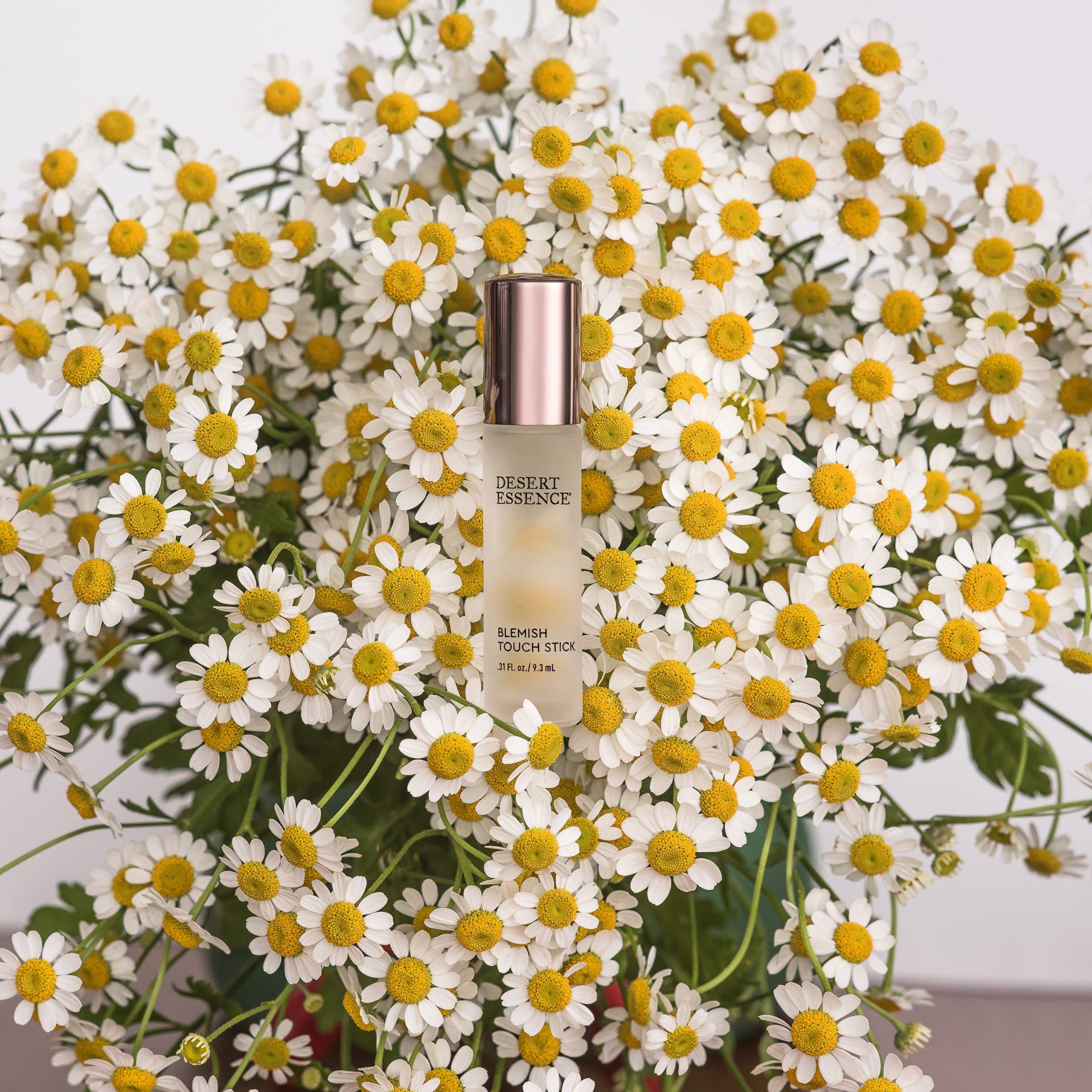 Desert Essence Stick Application Locale: utilisation rapide et pratique.