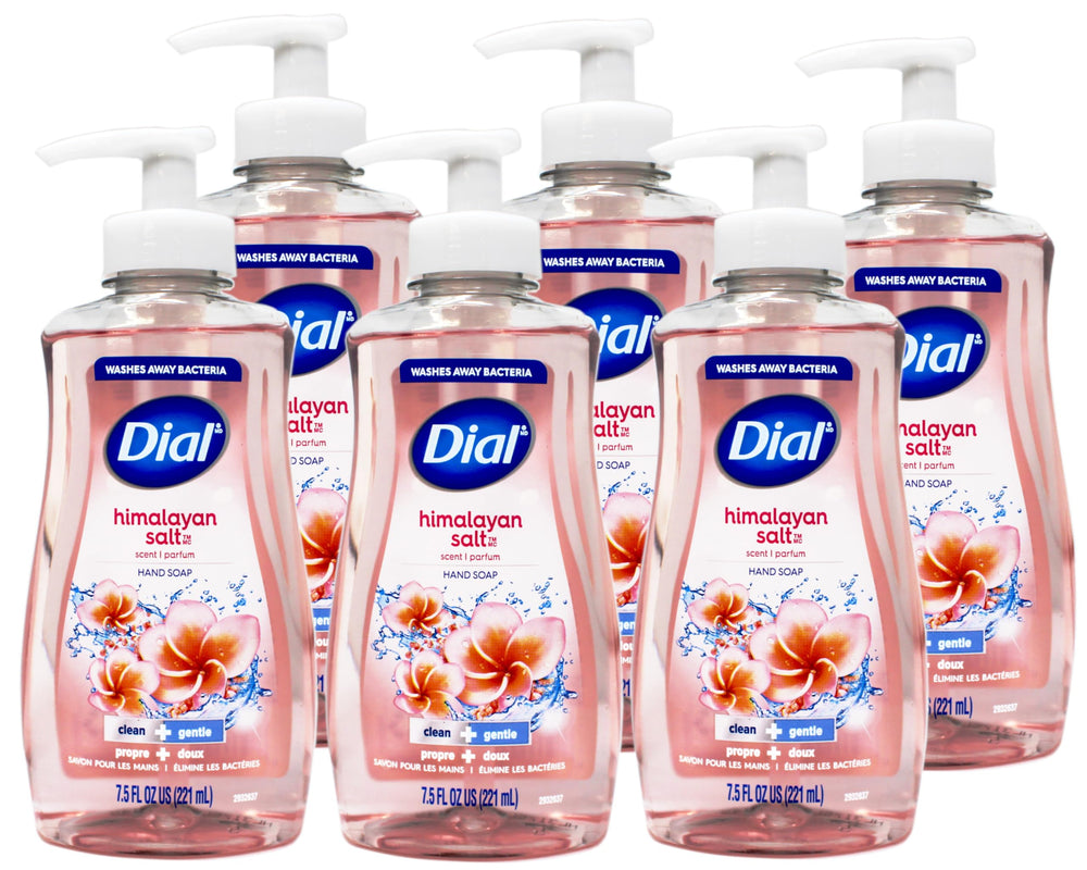 Bathroom scene featuring Dial Himalayan Pink Salt & Water Lily hand soap