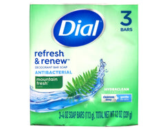 Dial Montagne Fraiche tranche de savon antibactérien, nettoyage en douceur
