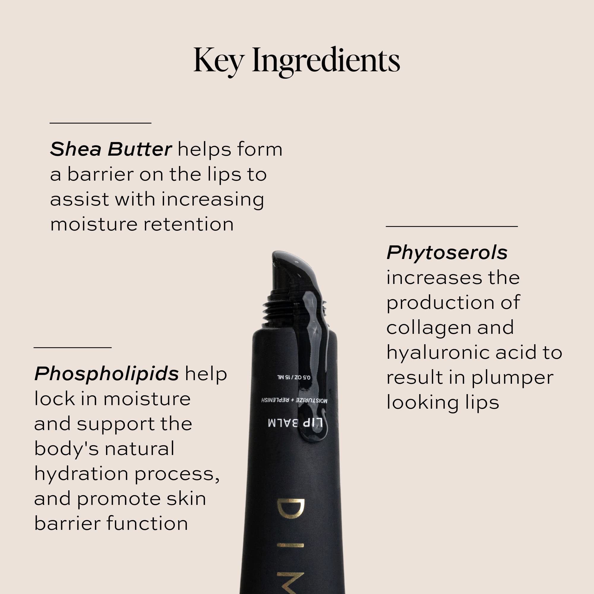 Baume Lèvres DIME – senteur vanille naturelle pour une expérience agréable.