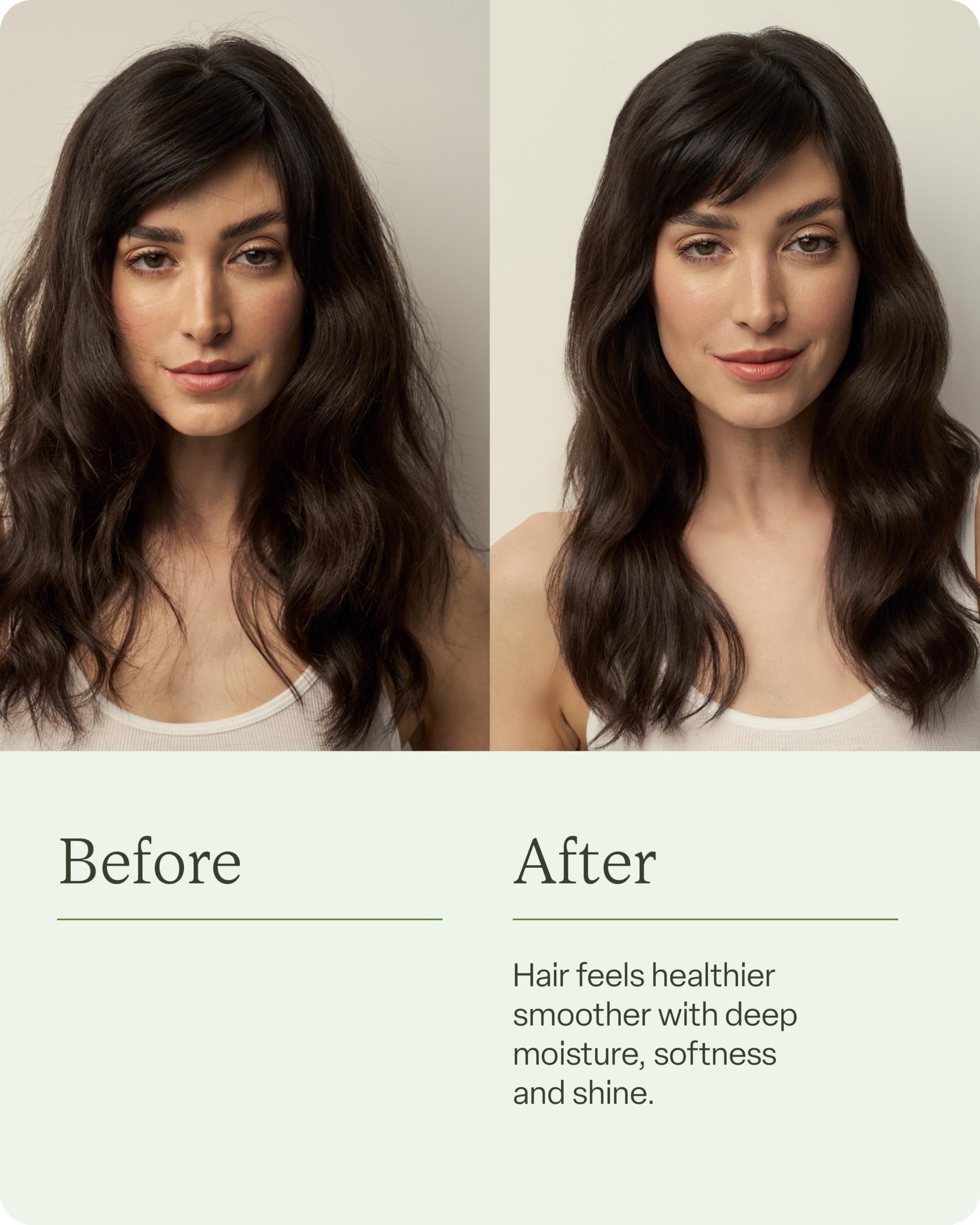 Divi shampooing hydratant, étiquette montrant algues et thé vert pour nourrir les cheveux.