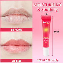 Dmsky lip gloss bulk: 12 saveurs fruitées pour varier les usages.