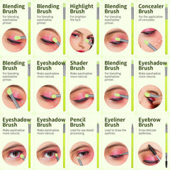 Pinceau crease Docolor – transitions nettes vers styles variés.