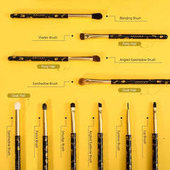 Pinceaux Docolor pour sourcils et correcteur, précision ciblage et retouche facile